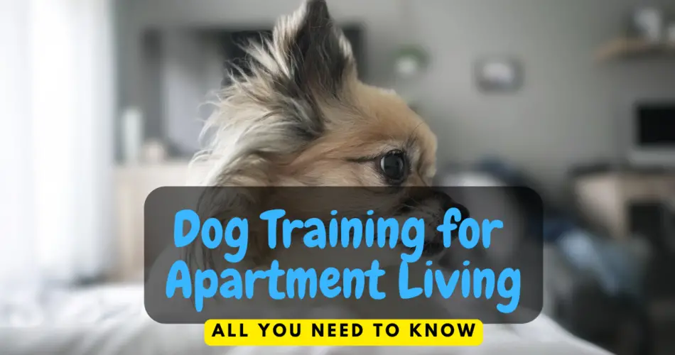Dog Training for Apartment Living